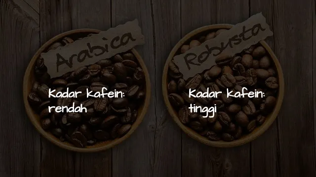 Tak Hanya Soal Rasa, ini 5 Perbedaan Kopi Arabika & Robusta. Yang Ngaku Anak Kopi Wajib Tahu, ya! 9
