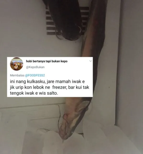 11 Gambar Penyalahgunaan Kulkas yang Sungguh di Luar Nalar. Ada-Ada Aja Kelakuan! :( 16