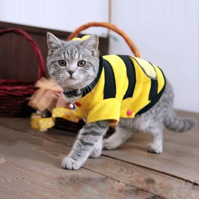 Ternyata Jadi Kucing itu Susah lo, Kerjanya Nggak Cuma Goleran dan Bikin Kesel Aja Kok~ 10