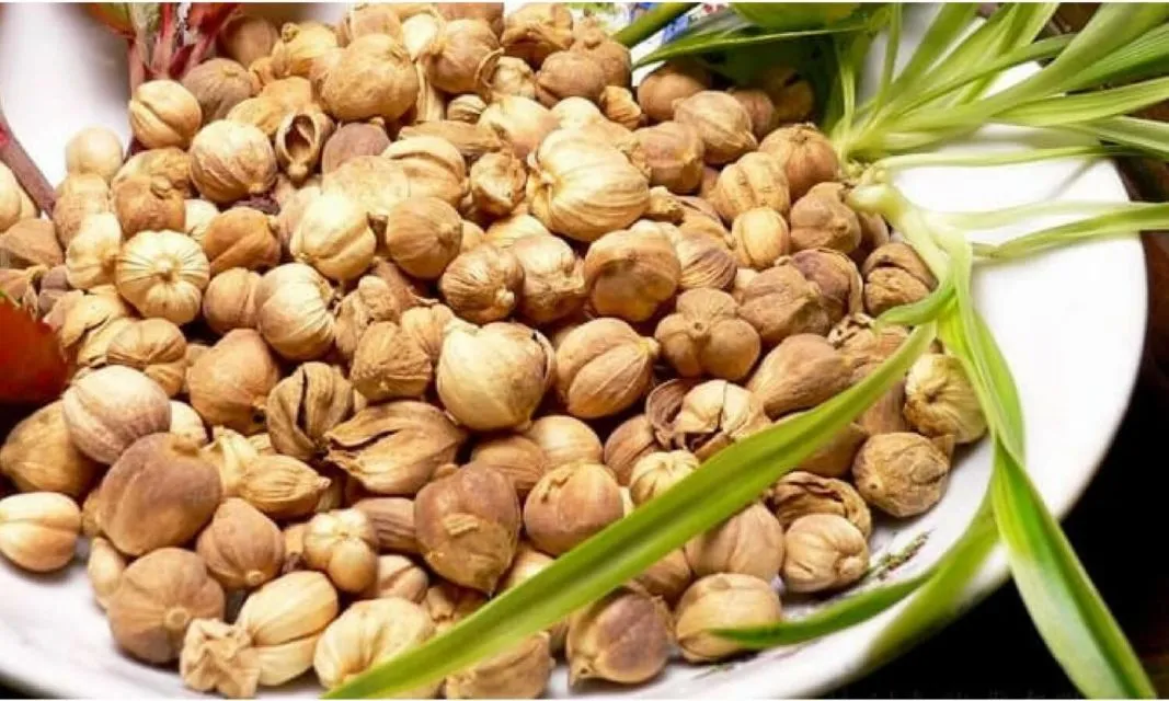 Inilah 20 Macam-Macam Bumbu Dapur yang Sering Dipakai 36