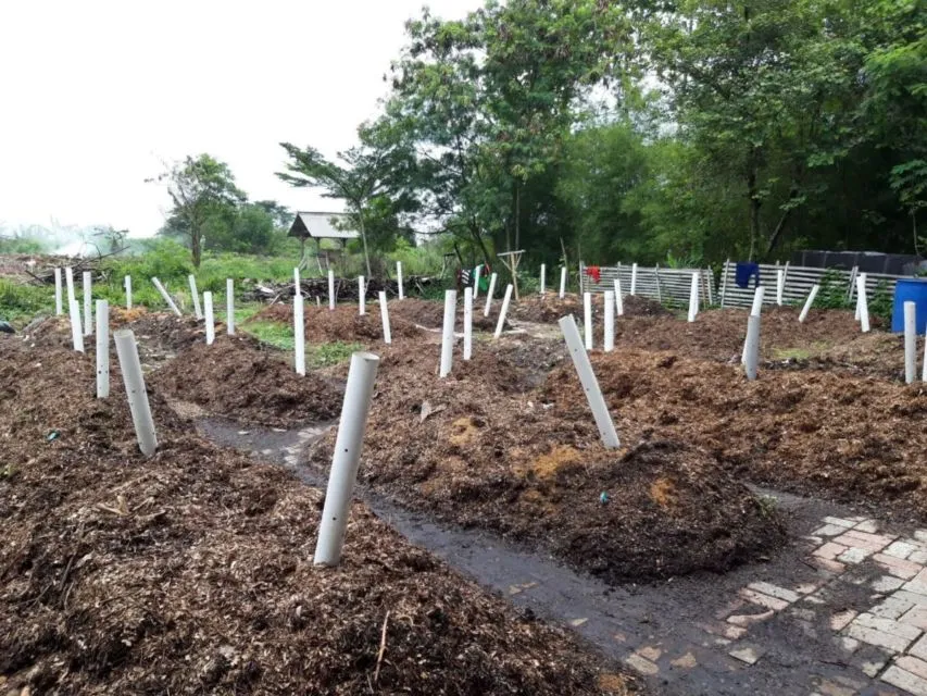 Perjalanan Sampah dari Rumah sampai TPA. Ternyata, Prosesnya Nggak Sesederhana itu, loh! 11