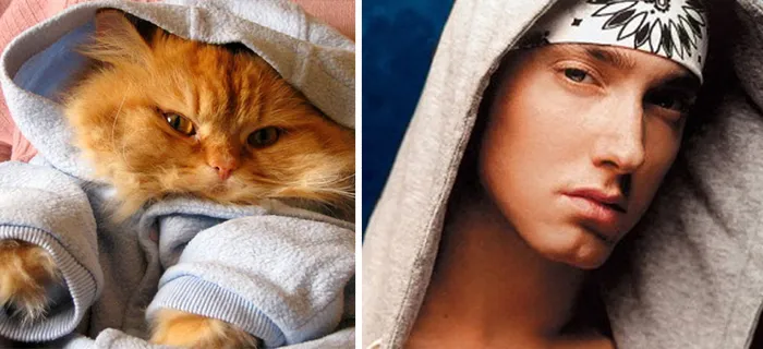 11 Potret Kucing Mirip Artis ini Bikin Gemas. Oh Jadi ini Yang Namanya Kembar Beda Makhluk~ 17