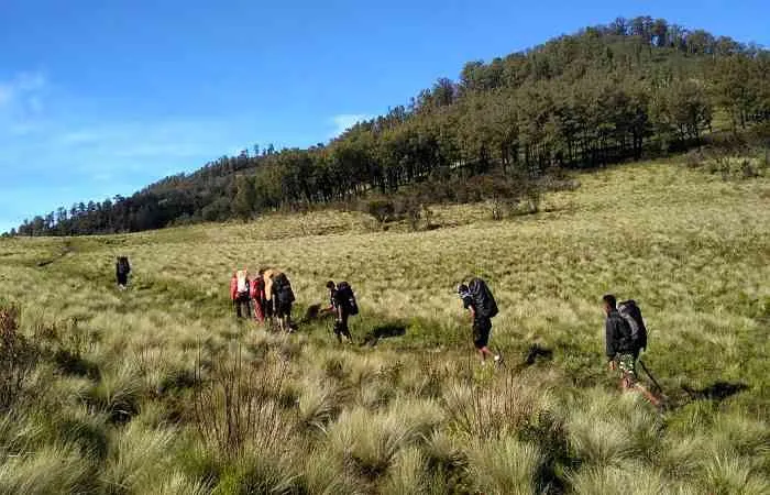 7 Gunung yang Telah Dibuka dengan Protokol New Normal. Pendaki Mau Mendaki ke Mana Nih? 10
