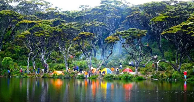 7 Gunung yang Telah Dibuka dengan Protokol New Normal. Pendaki Mau Mendaki ke Mana Nih? 13