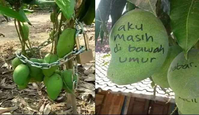 5 Kebiasaan Kita yang Sering Bikin Orang Tua Suuzan. Kenapa Disalah Artikan Mulu sih? 9