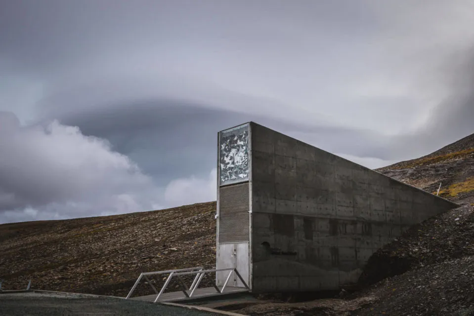 Mengintip Kota Arktik Longyearbyen di Norwegia yang Melarang Warganya Meninggal. Apa Alasannya? 8