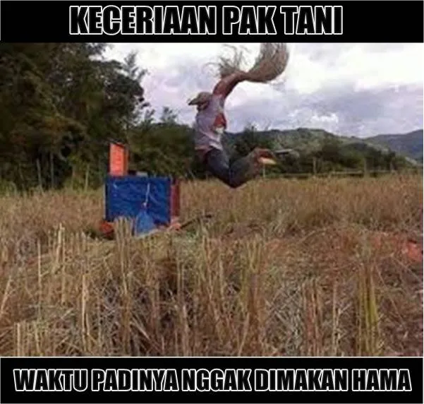 11 Kelakuan Kocak Orang Saat Bercocok Tanam. Mumpung Masih di Rumah Aja, Ayo Menanam yang Betul! 13