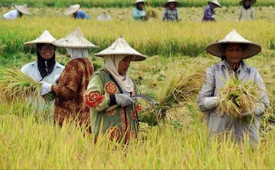 7 Kata dalam Bahasa Indonesia ini Ternyata Ada Kepanjangannya! Pasti Masih Banyak yang Belum Tahu~ 7