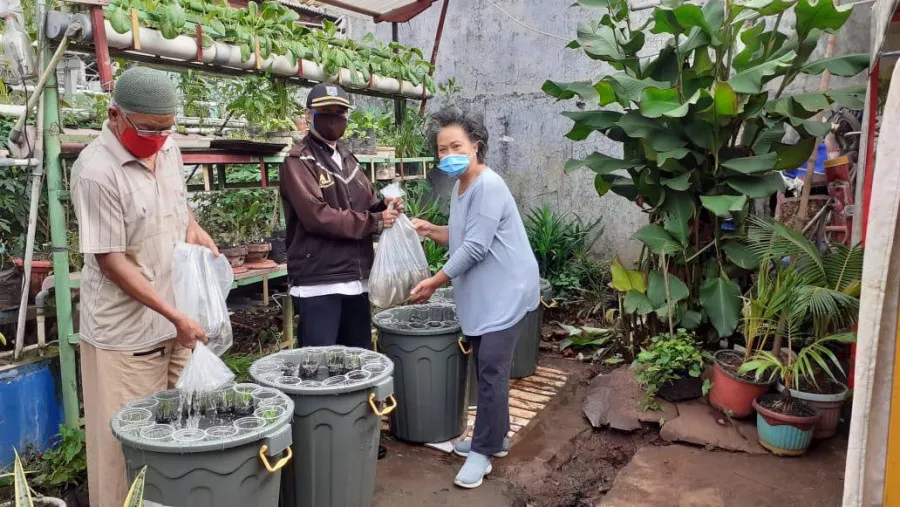 Tren Berkebun di Tengah Pandemi: Mudah, Menyenangkan, Hasilnya pun Bisa Dikonsumsi Sendiri 6