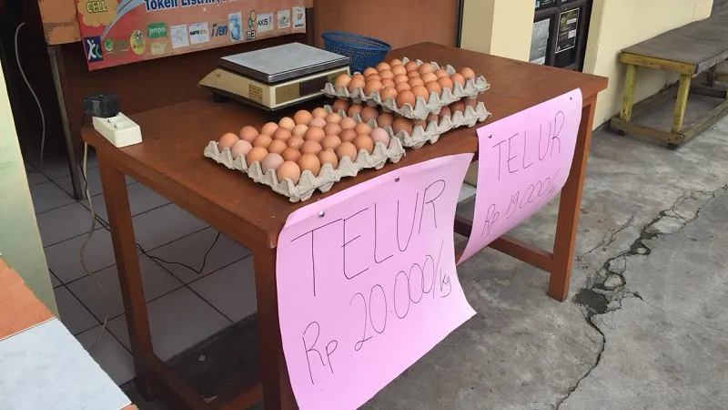 Mengenal Telur Infertil yang Lagi Heboh, Ternyata Cepat Busuk dan Berbahaya. Ini Ciri-cirinya 5
