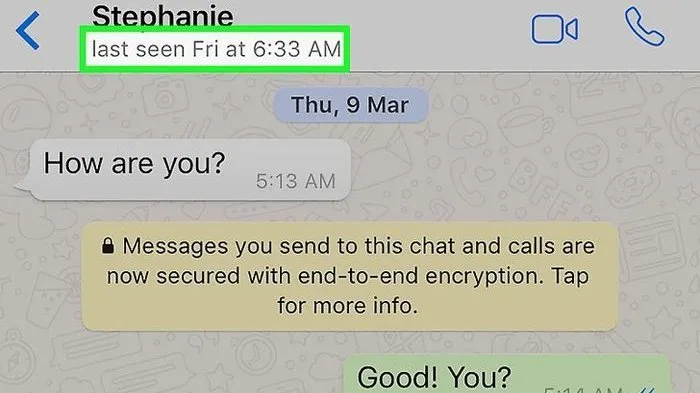7 Fitur Baru WhatsApp yang Bikin Chatting Makin Asyik. Ada yang Udah Rilis, Ada yang Masih Dikembangin 8