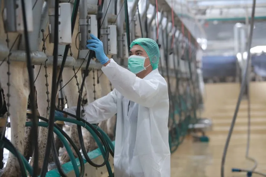 Punya Kandungan Protein A2, KIN Fresh Yogurt Berikan Perlindungan Ekstra untuk Pencernaan & Sistem Imun Tubuh 4