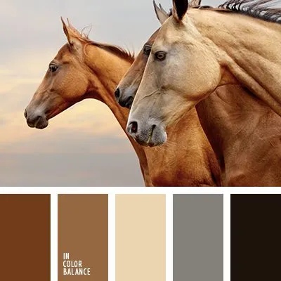 Terinspirasi dari Hewan, Ini Kombinasi Warna yang Tepat Buat Mempercantik Penampilanmu! 14