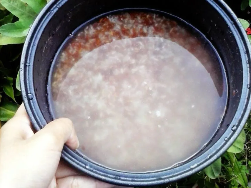 6 Cara Memasak Beras Merah di Rice Cooker Biar Pulen 10