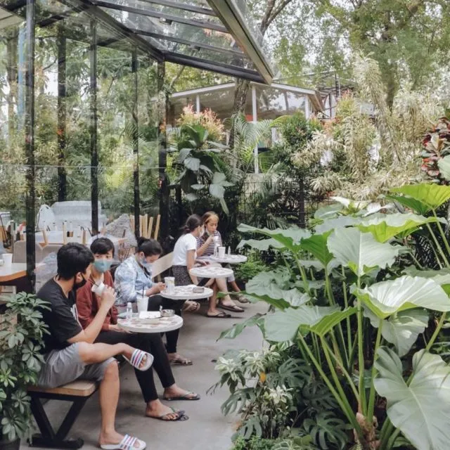 10 Kafe Tersembunyi dalam Hutan yang Bisa Kamu Kunjungi. Seru Nih Buat Pecinta Kafe 'Aesthetic!' 14