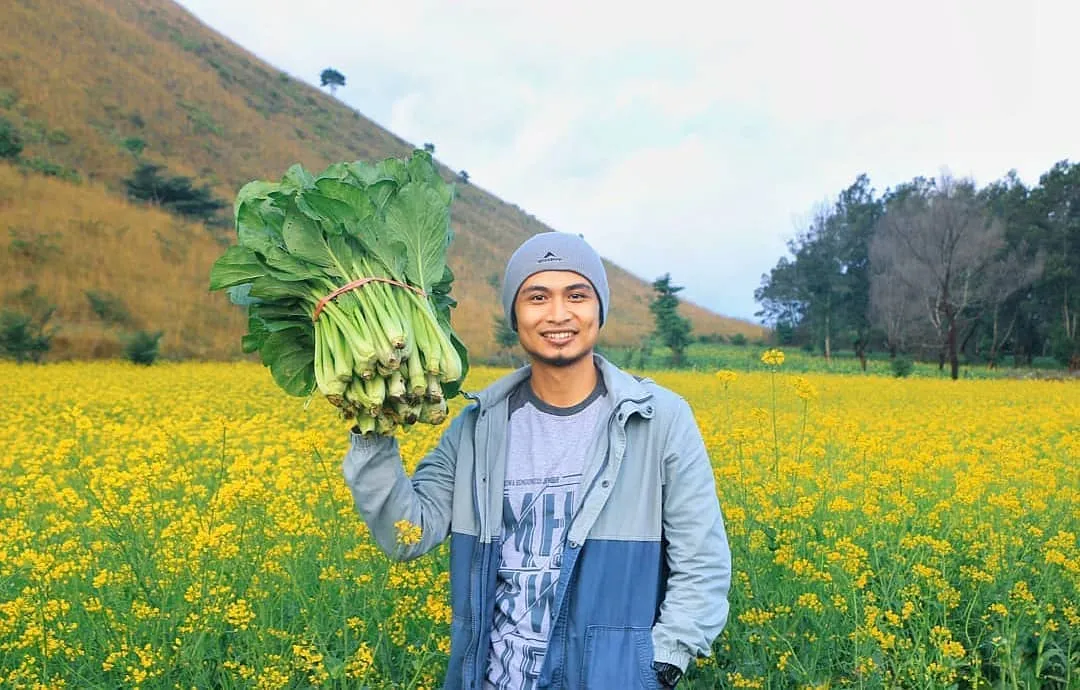 Hamparan Bunga Indah di Bondowoso yang Mirip dengan Pulau Jeju, Korea. Indah Banget Sih! 8