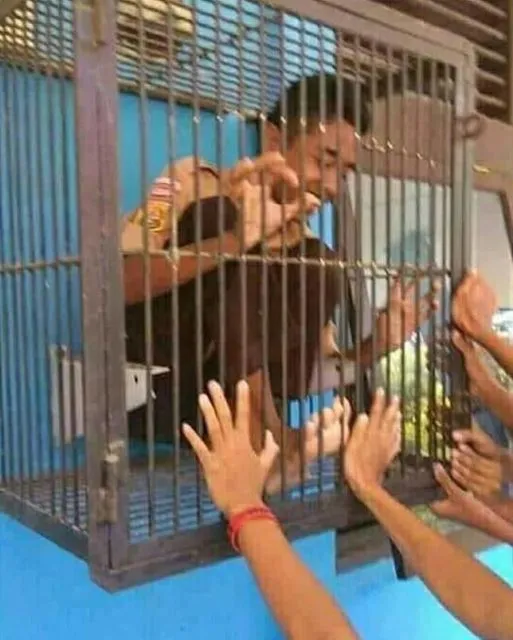 11 Kandang Paling Kocak yang Pernah Dibuat. Hewan Aja Mungkin Bingung Lihat ini, Apalagi Manusia 13
