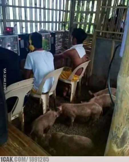 11 Kandang Paling Kocak yang Pernah Dibuat. Hewan Aja Mungkin Bingung Lihat ini, Apalagi Manusia 22