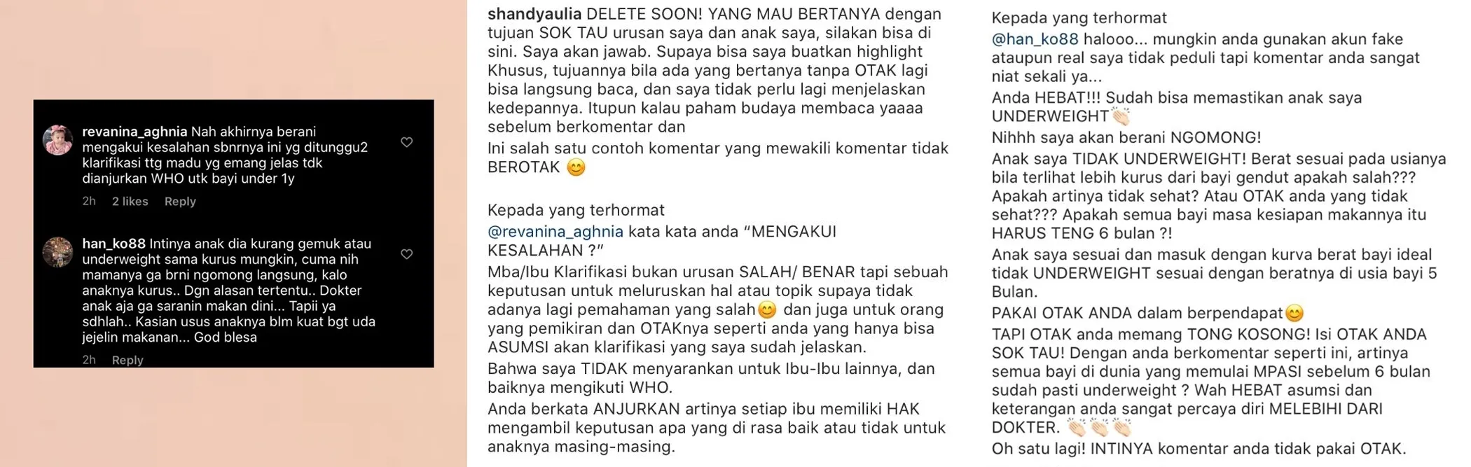 Kesabarannya Habis Membaca Komentar Nyinyir Warganet Soal Madu, Shandy Aulia Luapkan Kekesalannya 4