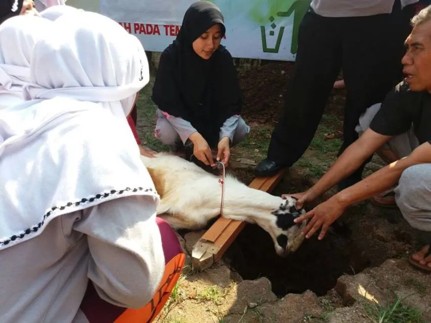 5 Tips Memilih Hewan Kurban Sesuai Syariat buat yang Ingin Beli Dadakan dan Belum Sempat Pesan 18