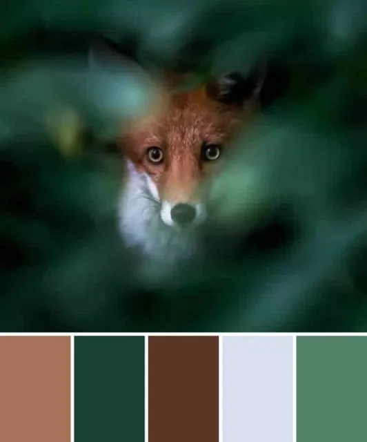 Terinspirasi dari Hewan, Ini Kombinasi Warna yang Tepat Buat Mempercantik Penampilanmu! 18