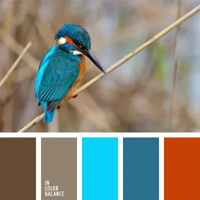 Terinspirasi dari Hewan, Ini Kombinasi Warna yang Tepat Buat Mempercantik Penampilanmu! 12