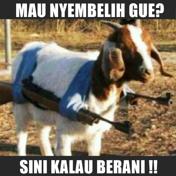 11 Siasat Cerdik Hewan Kurban Agar Terhindar dari Penyembelihan. Keselamatan Diri Wajib Dijaga! 15