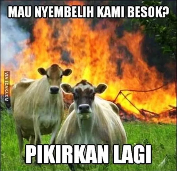 11 Siasat Cerdik Hewan Kurban Agar Terhindar dari Penyembelihan. Keselamatan Diri Wajib Dijaga! 19