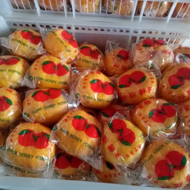 Cara Memilih Buah Jeruk Lokal yang Manis dan Banyak Airnya. Bisa Dicek dari Tekstur Kulitnya 20