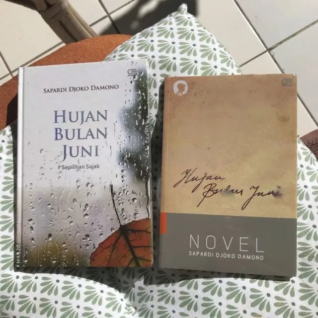 Sastrawan Sapardi Djoko Damono Meninggal, ini 3 Puisinya yang Legendaris dan akan Selalu Abadi 7