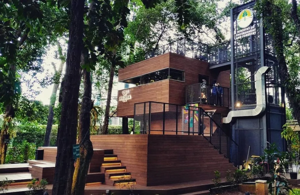 10 Kafe Tersembunyi dalam Hutan yang Bisa Kamu Kunjungi. Seru Nih Buat Pecinta Kafe 'Aesthetic!' 11