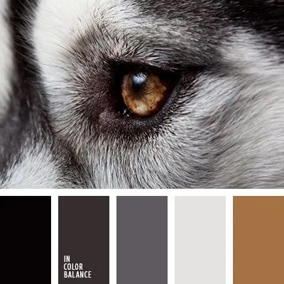 Terinspirasi dari Hewan, Ini Kombinasi Warna yang Tepat Buat Mempercantik Penampilanmu! 16