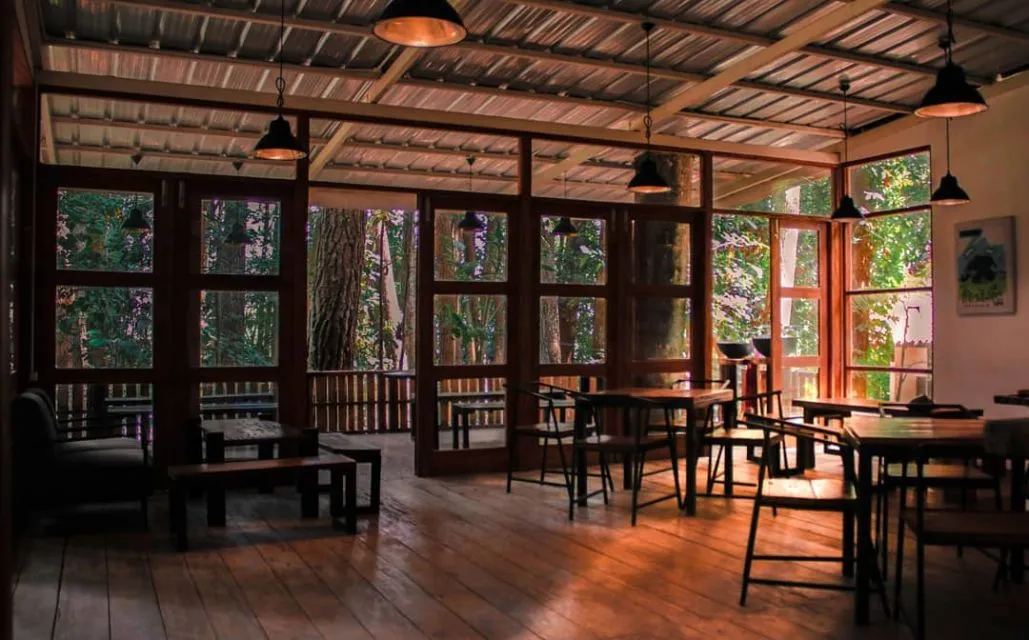 10 Kafe Tersembunyi dalam Hutan yang Bisa Kamu Kunjungi. Seru Nih Buat Pecinta Kafe 'Aesthetic!' 15