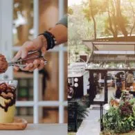 10 Kafe Tersembunyi dalam Hutan yang Bisa Kamu Kunjungi. Seru Nih Buat Pecinta Kafe ‘Aesthetic!’
