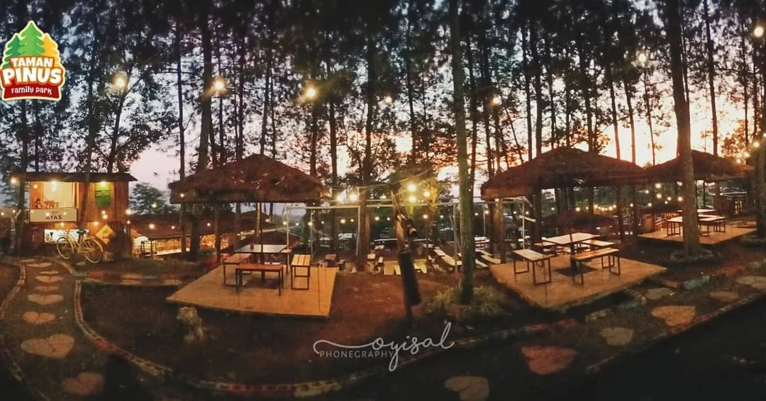10 Kafe Tersembunyi dalam Hutan yang Bisa Kamu Kunjungi. Seru Nih Buat Pecinta Kafe 'Aesthetic!' 19