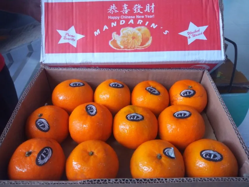 Cara Memilih Buah Jeruk Lokal yang Manis dan Banyak Airnya. Bisa Dicek dari Tekstur Kulitnya 19