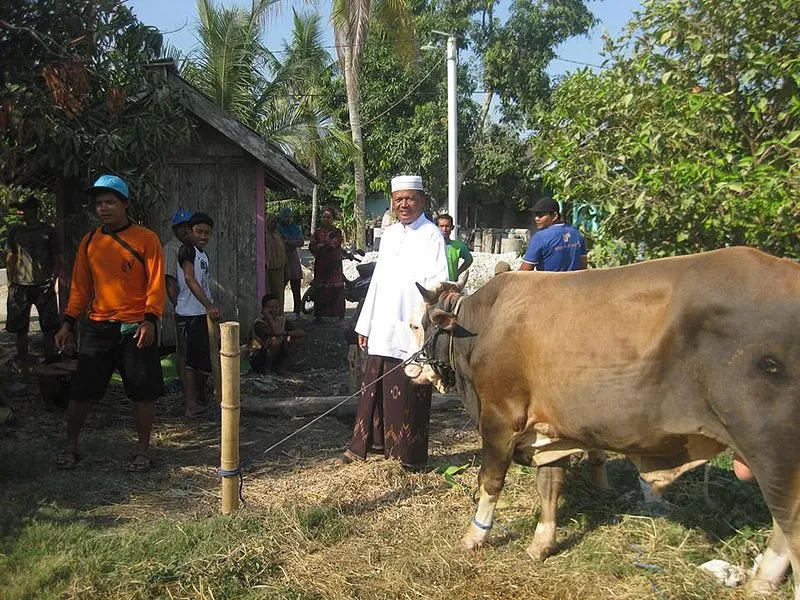 Yuk Pahami Protokol Kesehatan Saat Kurban Iduladha, Mulai dari Menyembelih sampai Bagi-bagi Daging 4