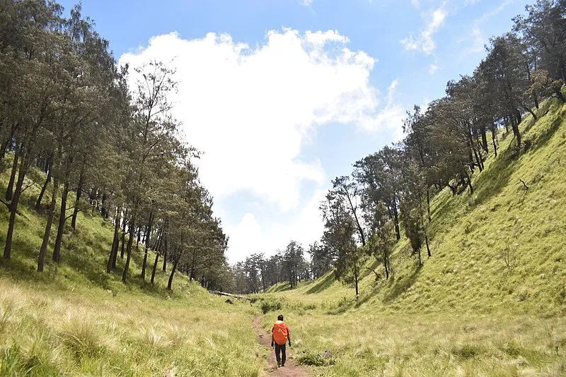 Terjatuh dari Ketinggian 7 Meter, Seorang Pendaki Meninggal di Gunung Lawu. Begini Kronologis Kejadiannya! 6