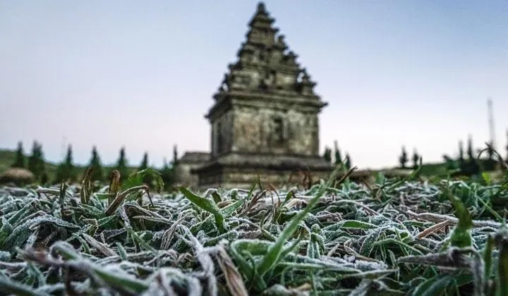 Gara-gara Udara Dingin, Dieng Diselimuti Embun Es yang Indah. Wisatawan Bertambah Tiga Kali Lipat! 3