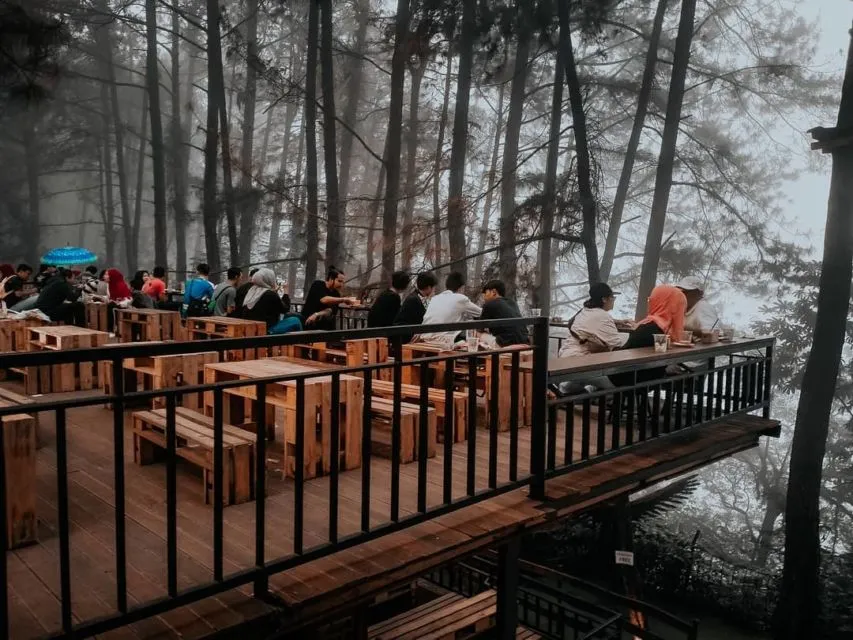10 Kafe Tersembunyi dalam Hutan yang Bisa Kamu Kunjungi. Seru Nih Buat Pecinta Kafe 'Aesthetic!' 13