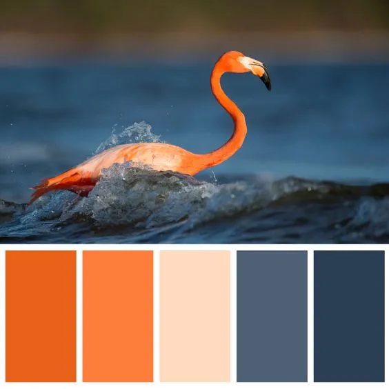 Terinspirasi dari Hewan, Ini Kombinasi Warna yang Tepat Buat Mempercantik Penampilanmu! 10
