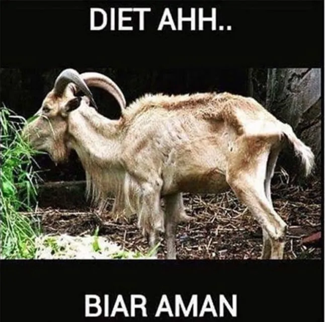 11 Siasat Cerdik Hewan Kurban Agar Terhindar dari Penyembelihan. Keselamatan Diri Wajib Dijaga! 13