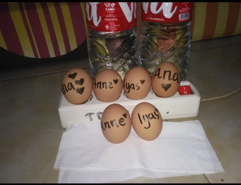 Sindikat Pencurian Makanan di Kulkas Terekam dari 11 Gambar ini. Anak Kosan Pasti Ngakak Bacanya~ 22