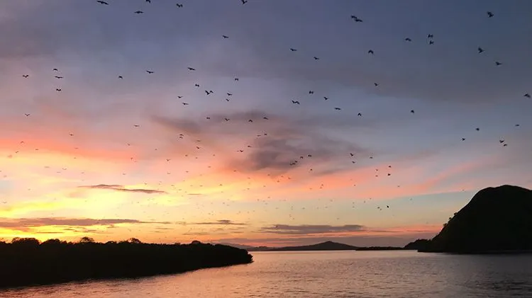Nikmati 10 Spot Berburu Sunset Paling Cantik di Flores. Panoramanya Begitu Indah dan Bikin Males Pulang 16