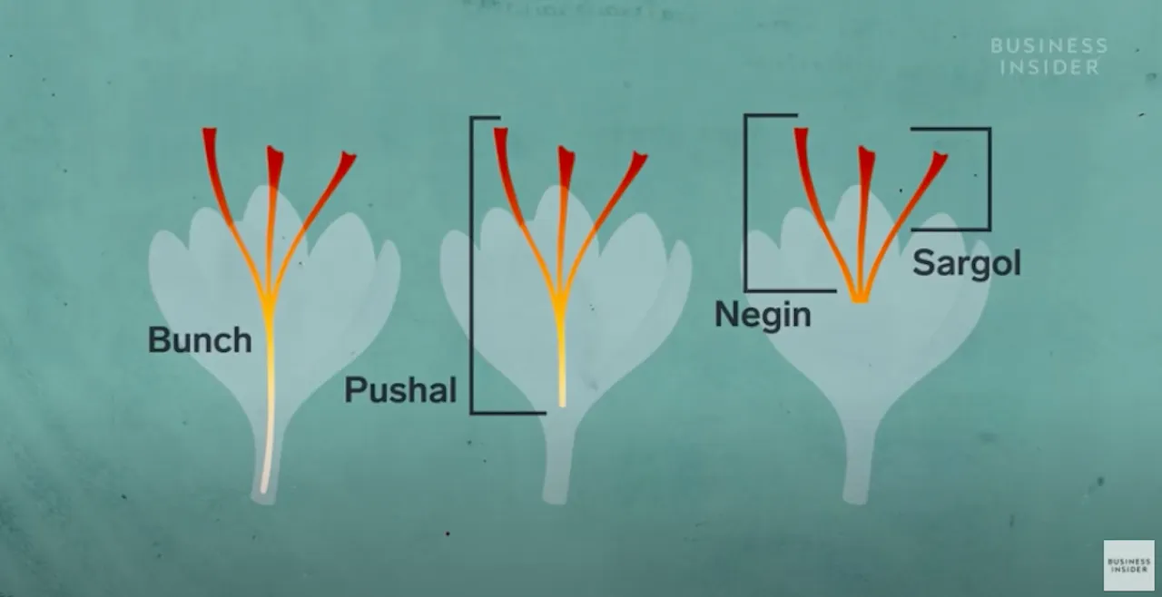 Saffron dan Segala Hal yang Bikin Harganya Selangit. Kalau Nggak Mahal, Kamu Patut Curiga 10
