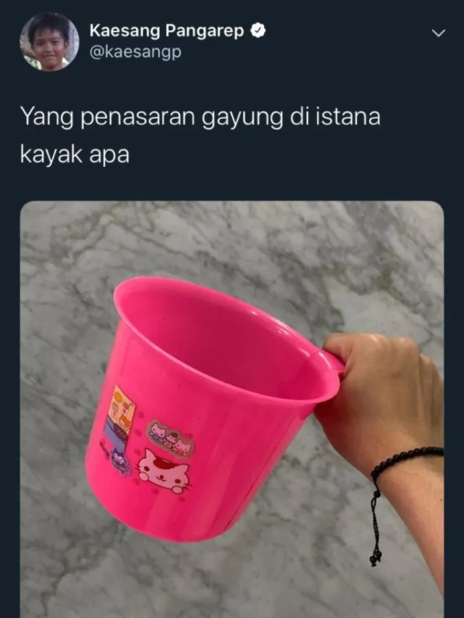 Warganet Kepo, Kaesang Pangarep Tunjukkan Isi Dapur Istana Negara. Nggak Ada Beda sama Kita! 3