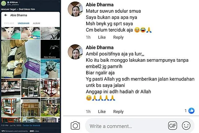 Kisah Penyelamat Kucing Liar yang Bagai Malaikat, Warganet Bertekad Viralkan Kebaikannya 2