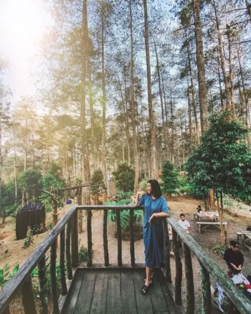 10 Kafe Tersembunyi dalam Hutan yang Bisa Kamu Kunjungi. Seru Nih Buat Pecinta Kafe 'Aesthetic!' 17