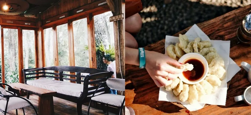 10 Kafe Tersembunyi dalam Hutan yang Bisa Kamu Kunjungi. Seru Nih Buat Pecinta Kafe 'Aesthetic!' 16