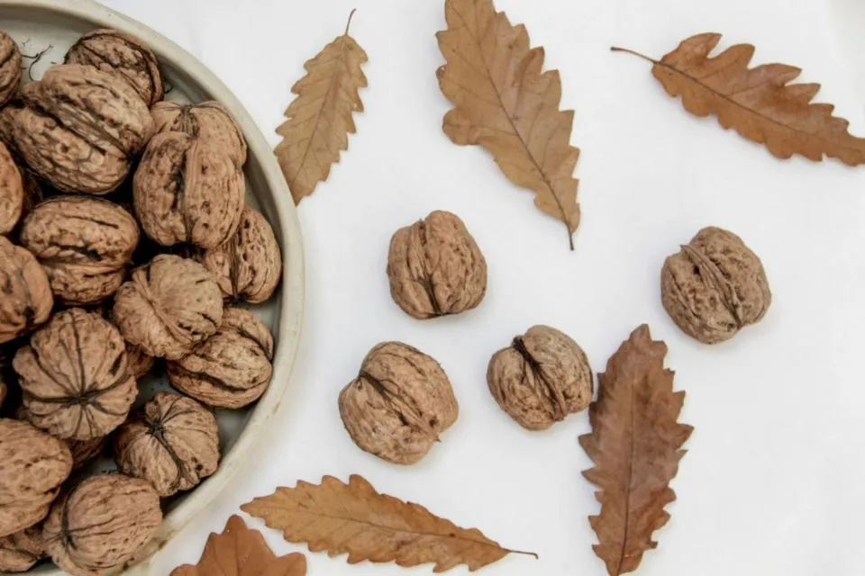 Bumil, Jangan Takut Ngemil! Ini 7 Jenis Kacang Buat Camilan Sehat Selama Kehamilan 10